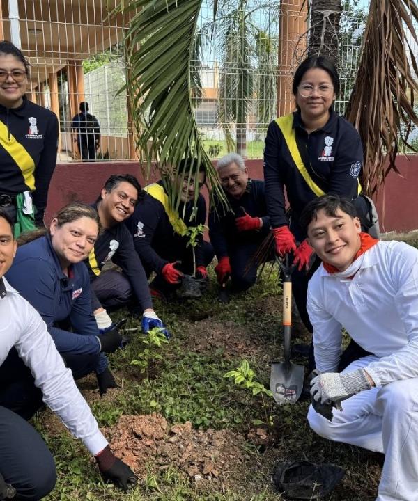 Articulación intersectorial